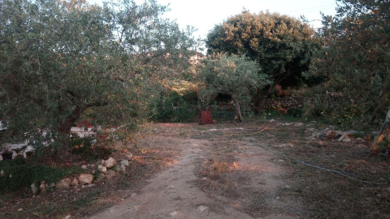 Residence Degli Ulivi Ossi 外观 照片